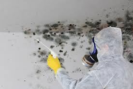 Best Mold Remediation for Healthcare Facilities  in Old Jamestown, MO